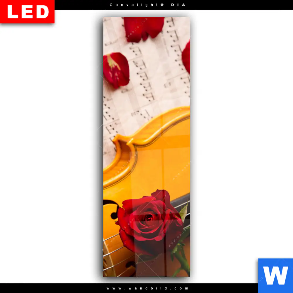 Wechselmotiv Acrylglas Canvalight® DIA | Violine & Rose | Schmal - Image 2