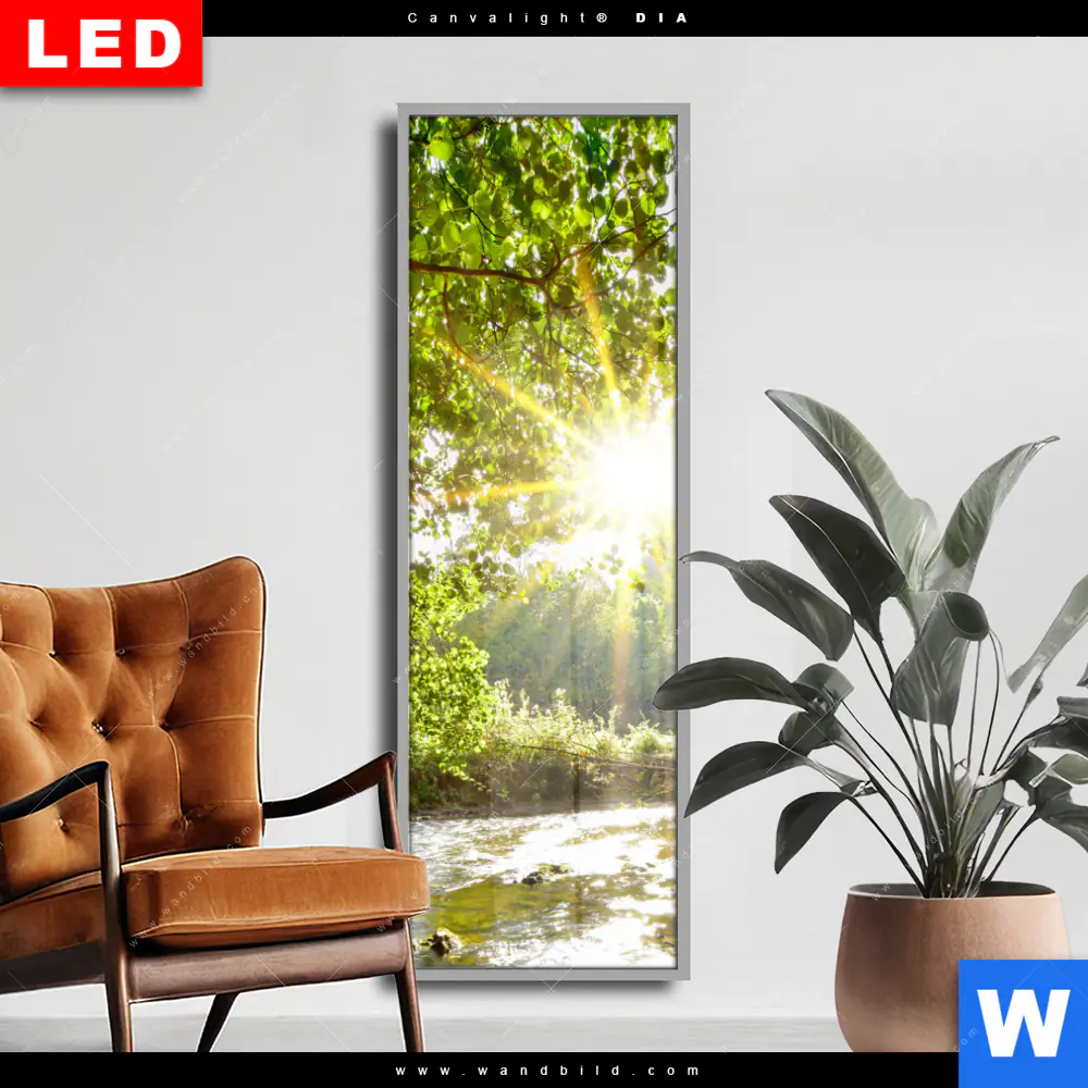 Wechselmotiv Acrylglas Canvalight® DIA | Wald mit Bach bei Sonnenschein | Schmal