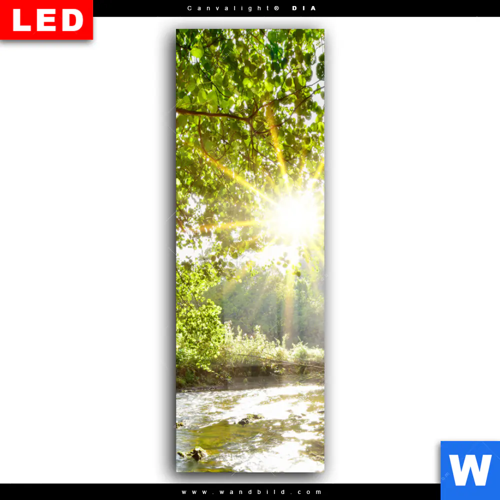 Wechselmotiv Acrylglas Canvalight® DIA | Wald mit Bach bei Sonnenschein | Schmal - Image 2