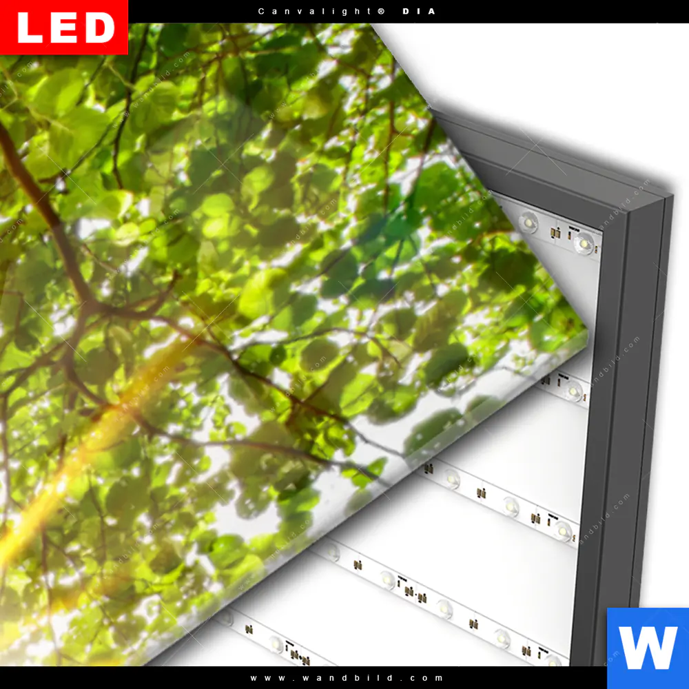 Wechselmotiv Acrylglas Canvalight® DIA | Wald mit Bach bei Sonnenschein | Schmal - Image 3