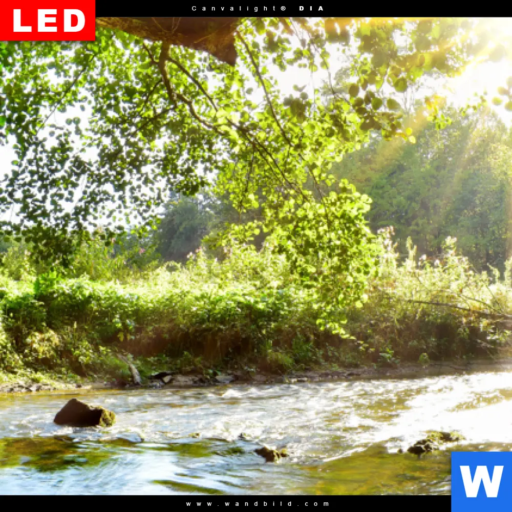 Wechselmotiv Acrylglas Canvalight® DIA | Wald mit Bach bei Sonnenschein | Schmal - Image 4