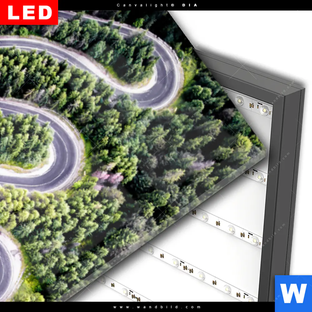 Wechselmotiv Acrylglas Canvalight® DIA | Wald & Straße Luftaufnahme | Schmal - Image 3