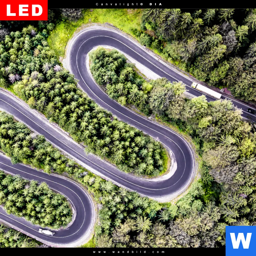 Wechselmotiv Acrylglas Canvalight® DIA | Wald & Straße Luftaufnahme | Schmal - Image 4