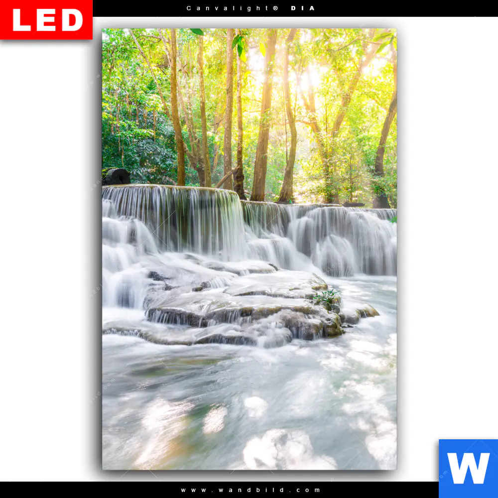 Wechselmotiv Acrylglas Canvalight® DIA | Wald & Wasserfall No. 1 | Hochformat - Image 2