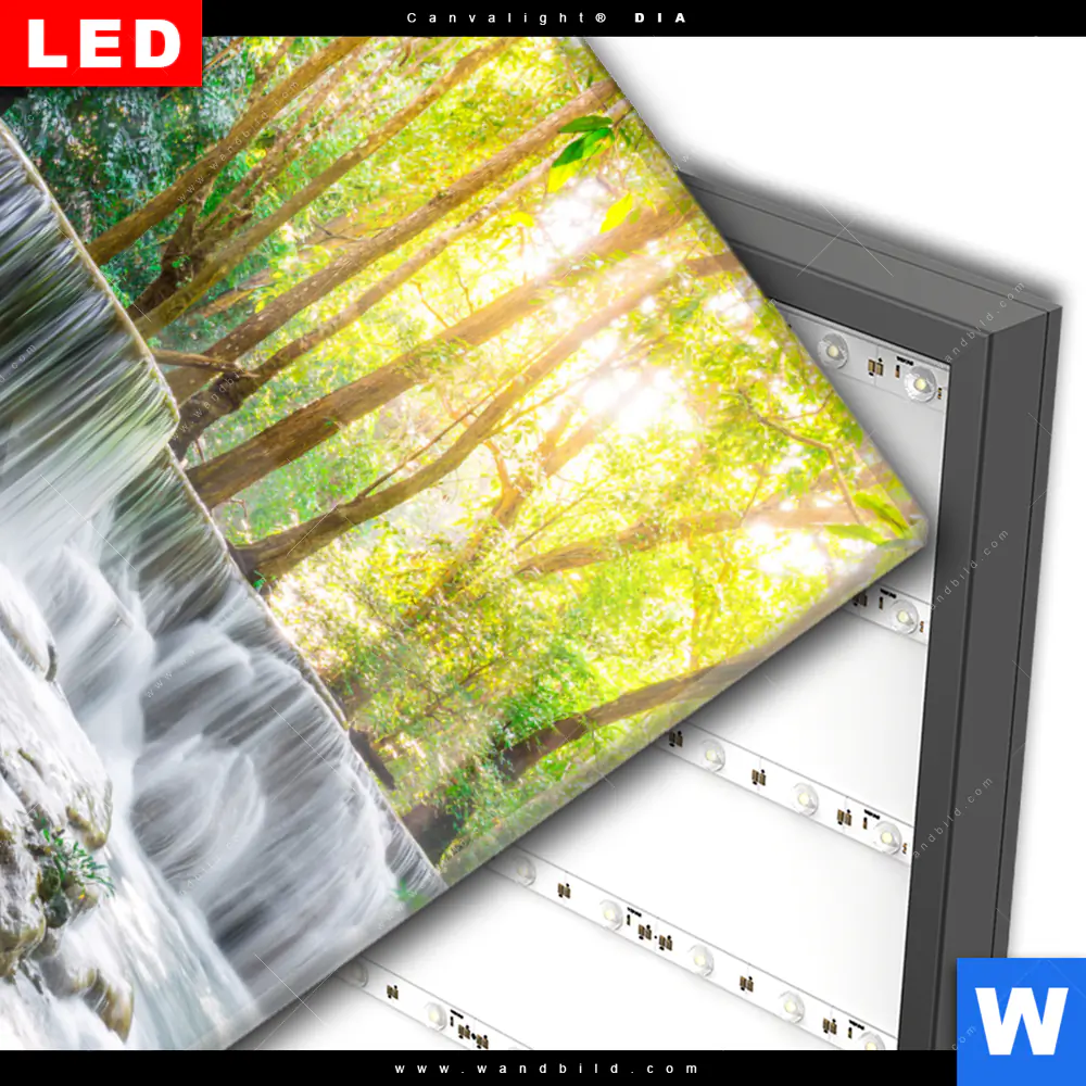 Wechselmotiv Acrylglas Canvalight® DIA | Wald & Wasserfall No. 1 | Hochformat - Image 3