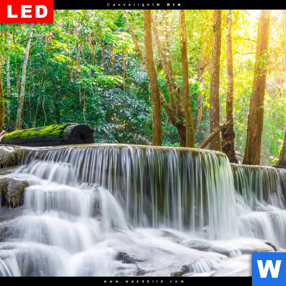 Wechselmotiv Acrylglas Canvalight® DIA | Wald & Wasserfall No. 1 | Hochformat - Image 4