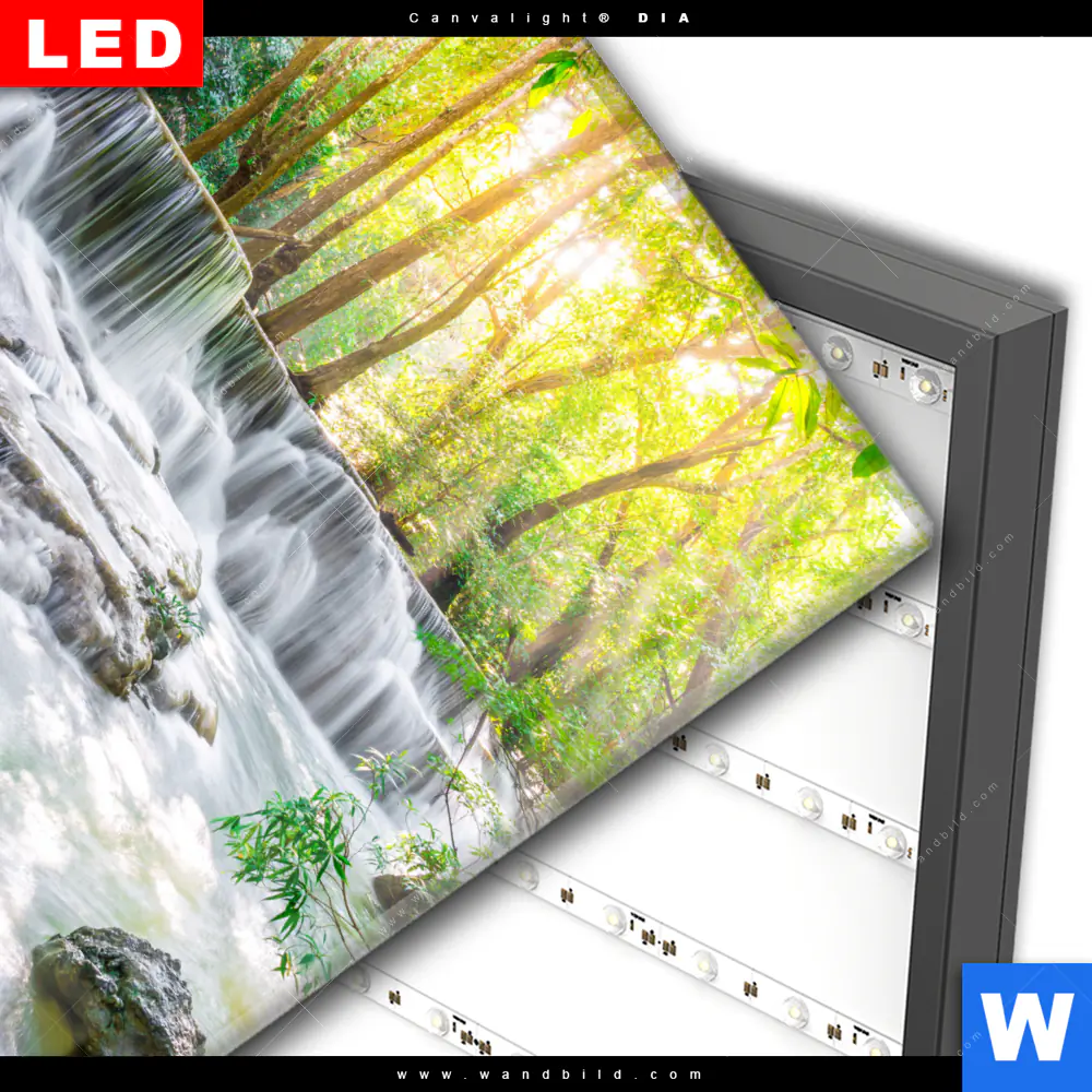Wechselmotiv Acrylglas Canvalight® DIA | Wald & Wasserfall No. 1 | Quadrat - Image 3