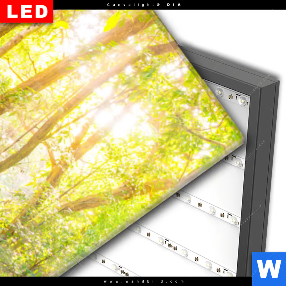 Wechselmotiv Acrylglas Canvalight® DIA | Wald & Wasserfall No. 1 | Schmal - Image 3