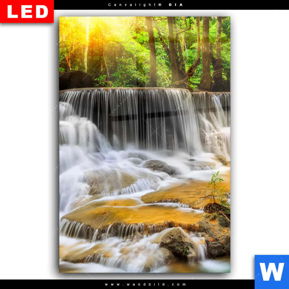 Wechselmotiv Acrylglas Canvalight® DIA | Wald & Wasserfall No. 2 | Hochformat - Image 2