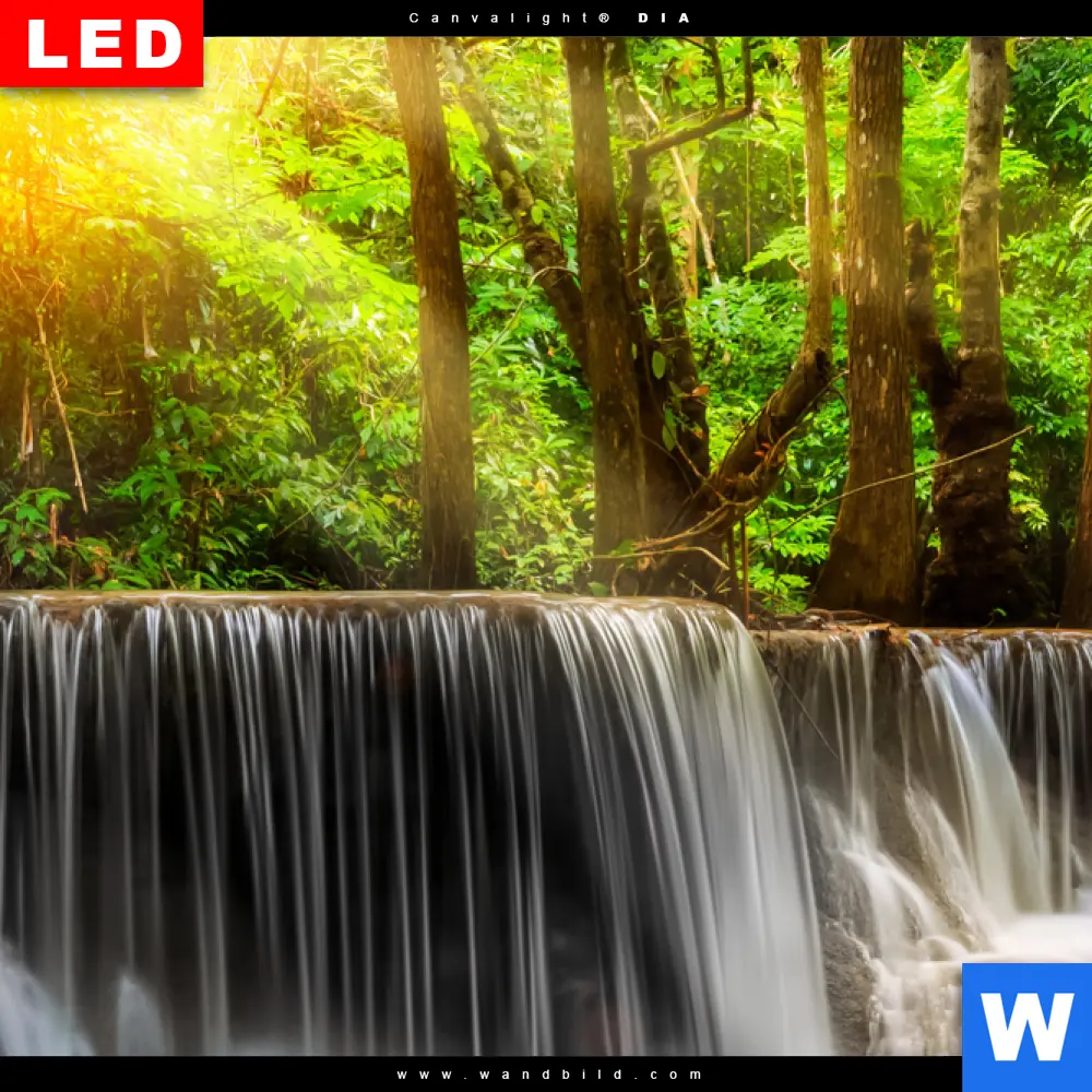 Wechselmotiv Acrylglas Canvalight® DIA | Wald & Wasserfall No. 2 | Querformat - Image 4
