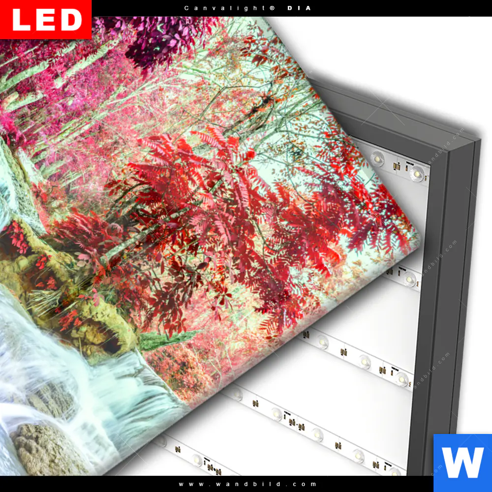 Wechselmotiv Acrylglas Canvalight® DIA | Wald & Wasserfall No. 3 | Hochformat - Image 3