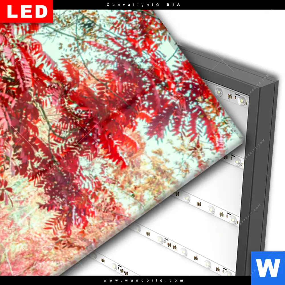 Wechselmotiv Acrylglas Canvalight® DIA | Wald & Wasserfall No. 3 | Schmal - Image 3