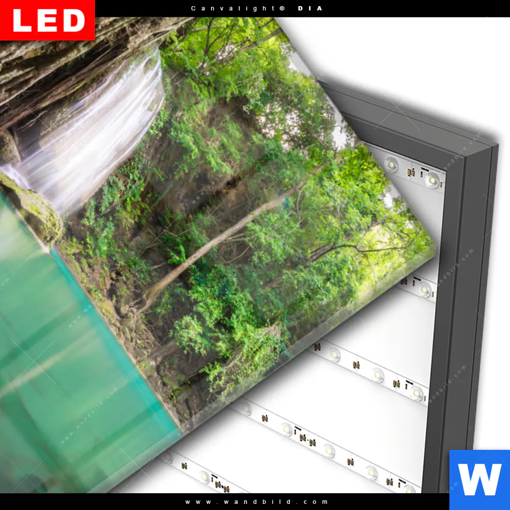Wechselmotiv Acrylglas Canvalight® DIA | Wald & Wasserfall No. 4 | Hochformat - Image 3