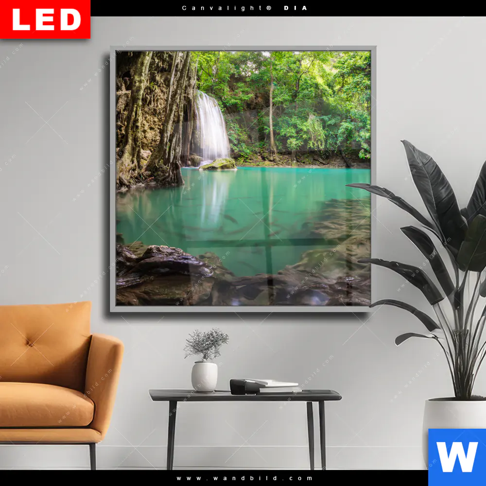 Wechselmotiv Acrylglas Canvalight® DIA | Wald & Wasserfall No. 4 | Quadrat