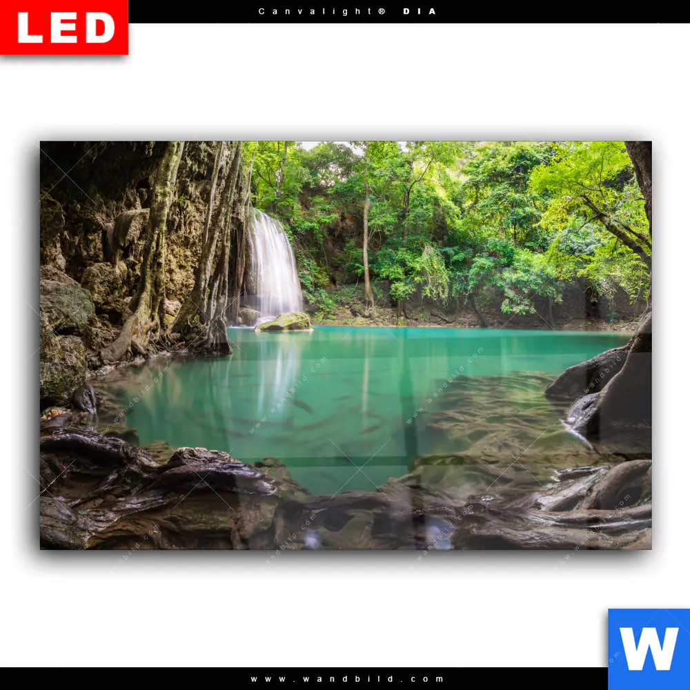 Wechselmotiv Acrylglas Canvalight® DIA | Wald & Wasserfall No. 4 | Querformat - Image 2