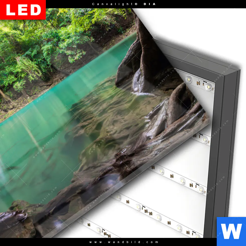 Wechselmotiv Acrylglas Canvalight® DIA | Wald & Wasserfall No. 4 | Querformat - Image 3