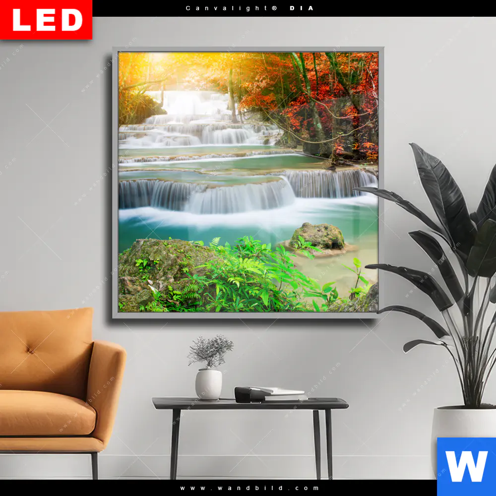 Wechselmotiv Acrylglas Canvalight® DIA | Wald & Wasserfall No. 5 | Quadrat