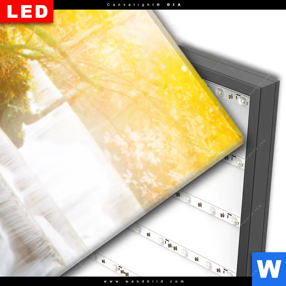 Wechselmotiv Acrylglas Canvalight® DIA | Wald & Wasserfall No. 5 | Schmal - Image 3