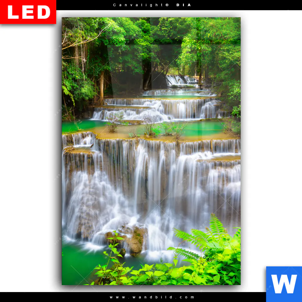 Wechselmotiv Acrylglas Canvalight® DIA | Wald & Wasserfall No. 6 | Hochformat - Image 2