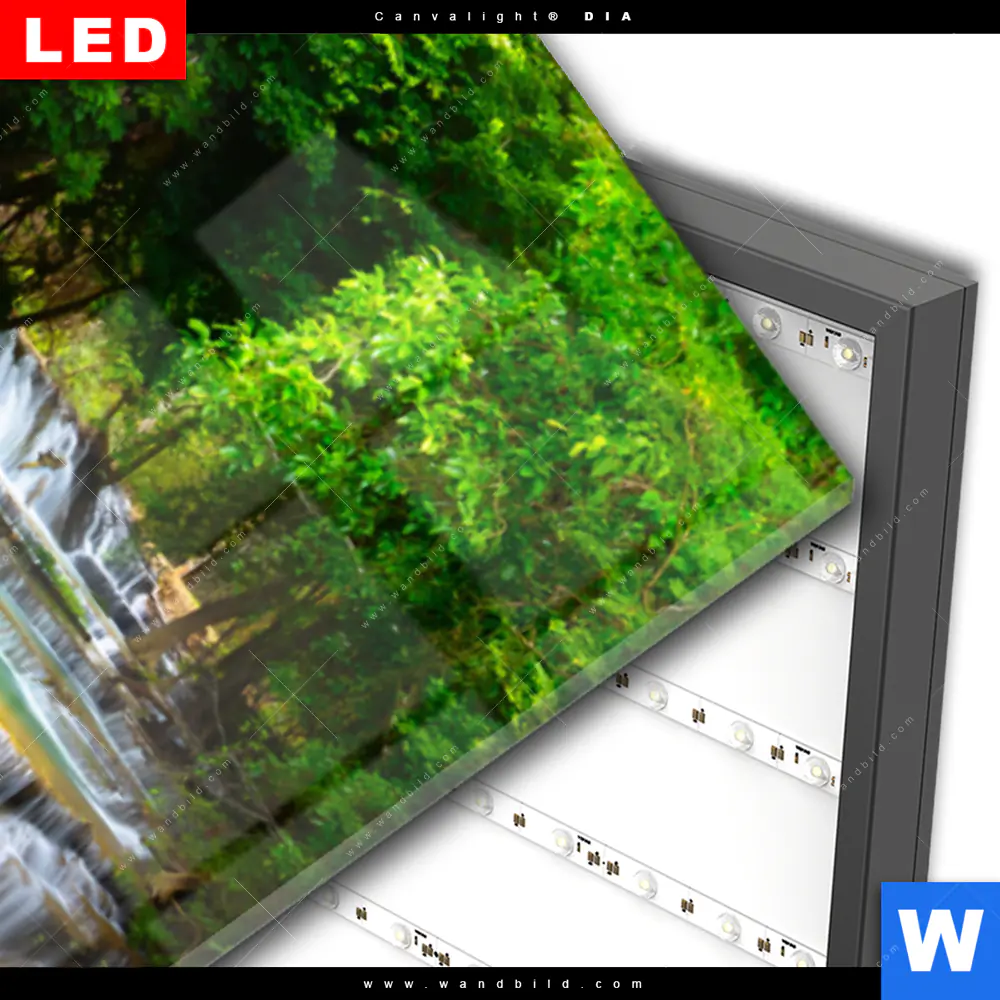 Wechselmotiv Acrylglas Canvalight® DIA | Wald & Wasserfall No. 6 | Schmal - Image 3