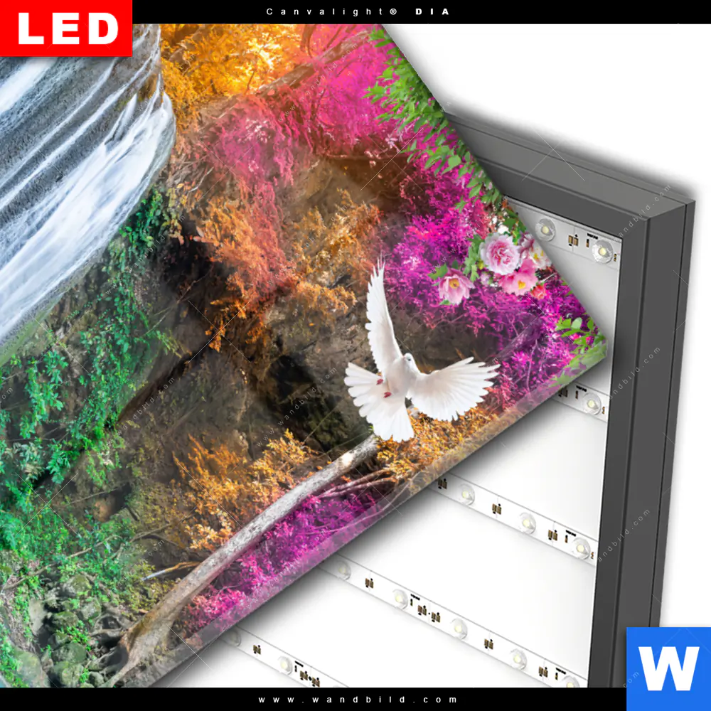 Wechselmotiv Acrylglas Canvalight® DIA | Wald & Wasserfall No. 7 | Hochformat - Image 3