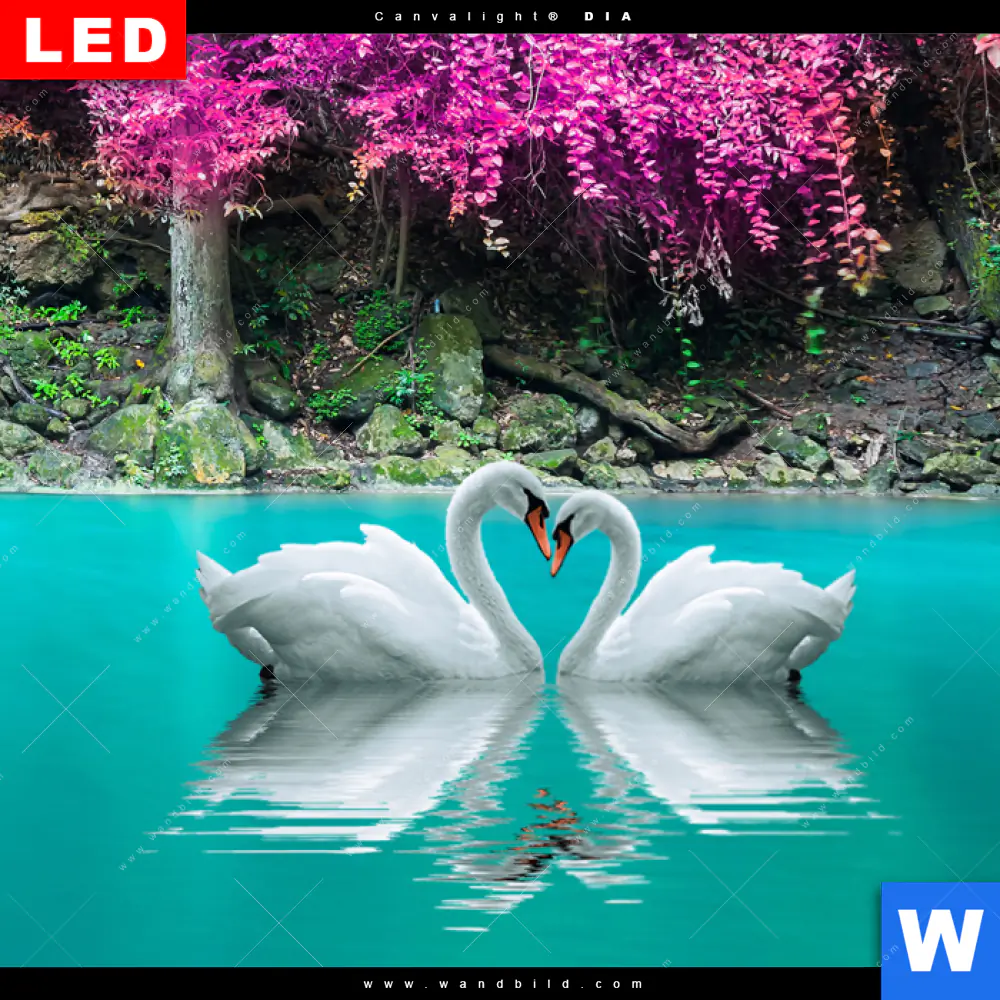 Wechselmotiv Acrylglas Canvalight® DIA | Wald & Wasserfall No. 7 | Hochformat - Image 4