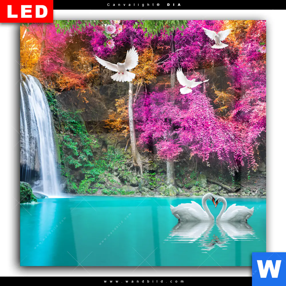 Wechselmotiv Acrylglas Canvalight® DIA | Wald & Wasserfall No. 7 | Quadrat - Image 2