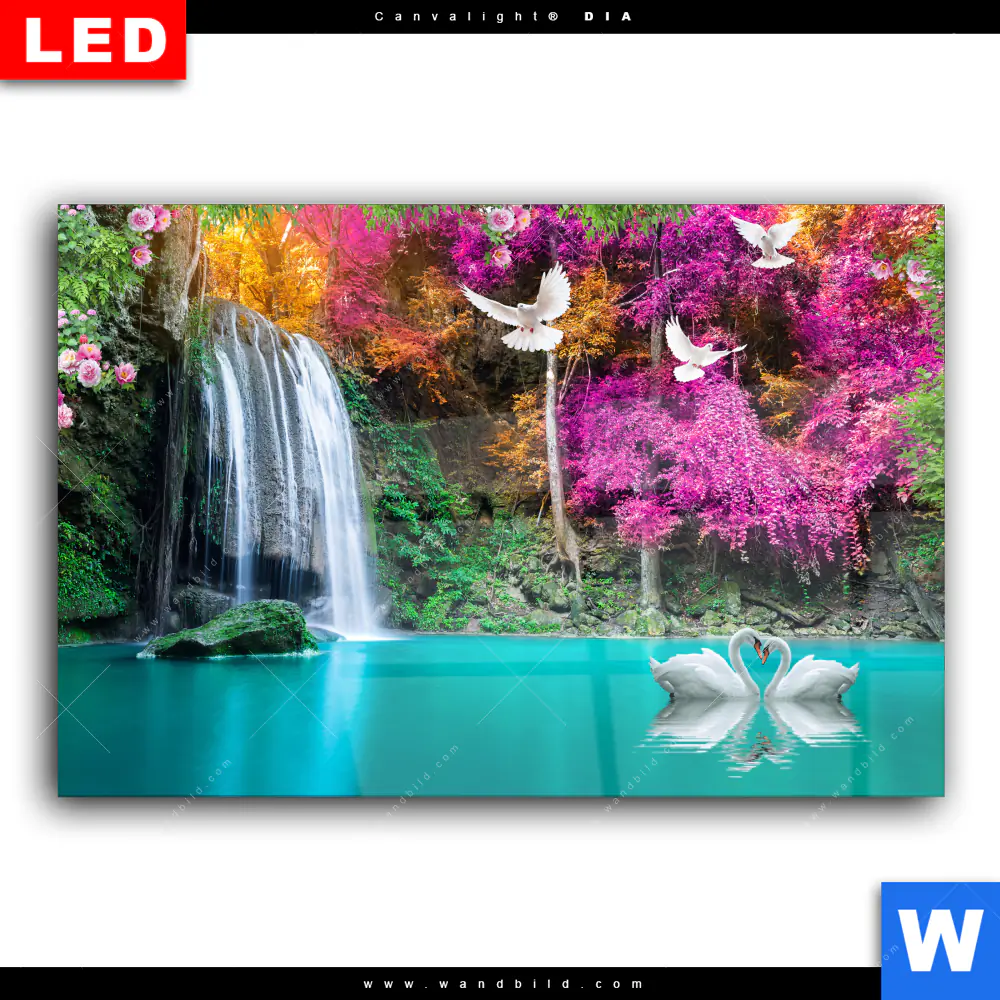 Wechselmotiv Acrylglas Canvalight® DIA | Wald & Wasserfall No. 7 | Querformat - Image 2
