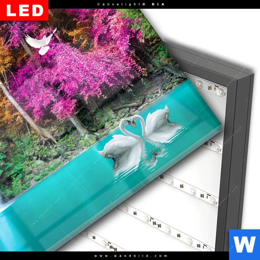 Wechselmotiv Acrylglas Canvalight® DIA | Wald & Wasserfall No. 7 | Querformat - Image 3