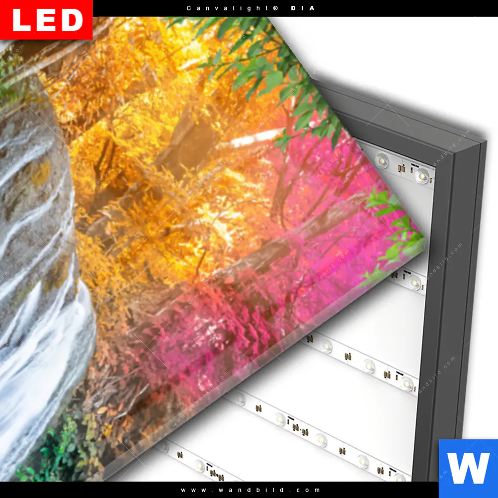 Wechselmotiv Acrylglas Canvalight® DIA | Wald & Wasserfall No. 7 | Schmal - Image 3