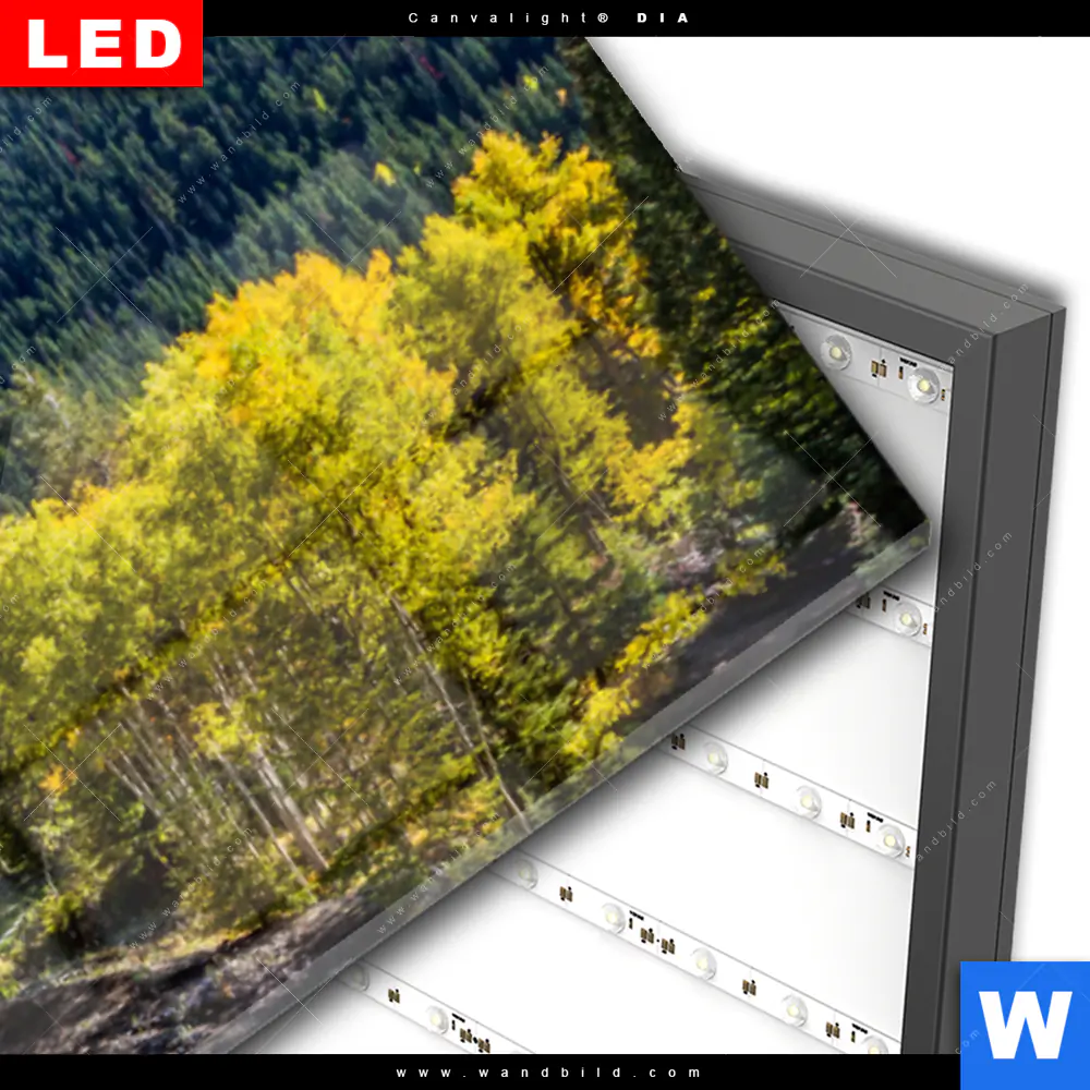 Wechselmotiv Acrylglas Canvalight® DIA | Waldhütte am Fluss | Panorama - Image 3