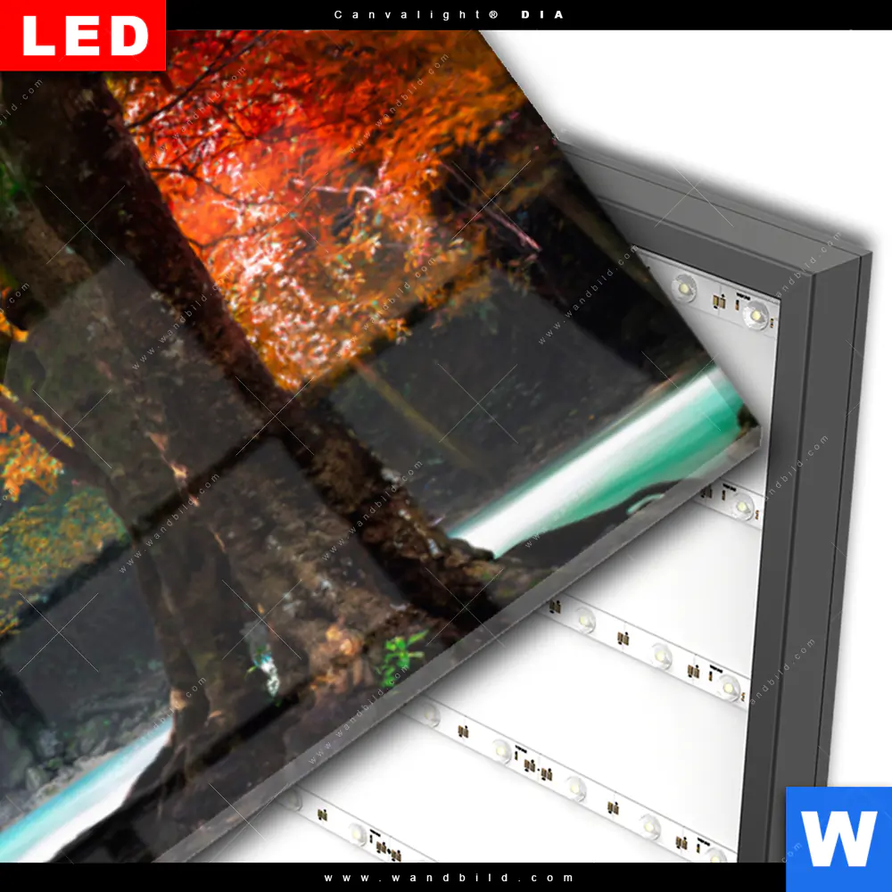 Wechselmotiv Acrylglas Canvalight® DIA | Wasserfall im Wald | Panorama - Image 3