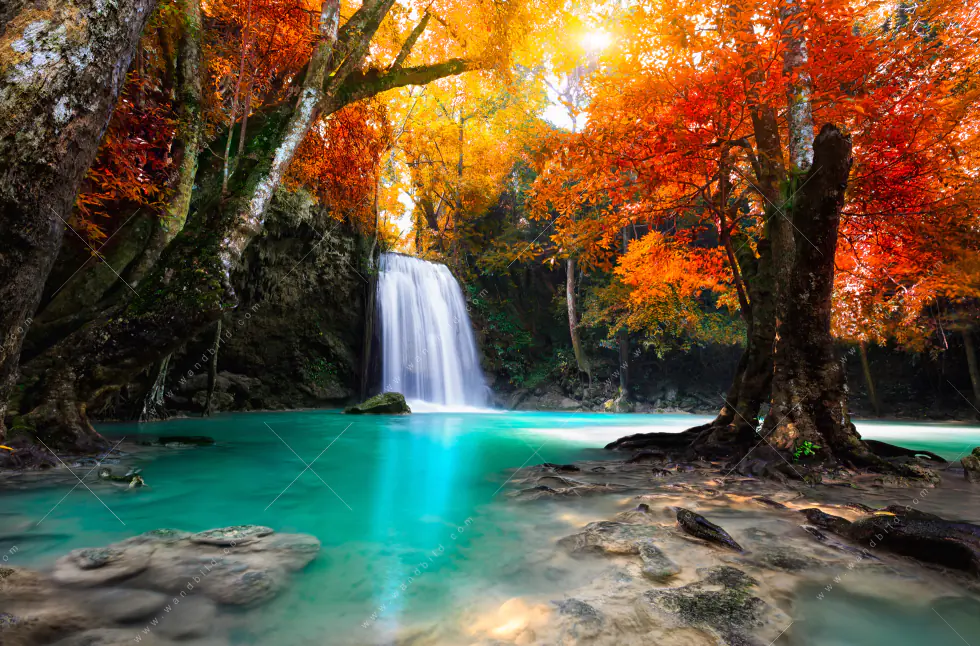 Wechselmotiv Acrylglas Canvalight® DIA | Wasserfall im Wald | Panorama - Image 5