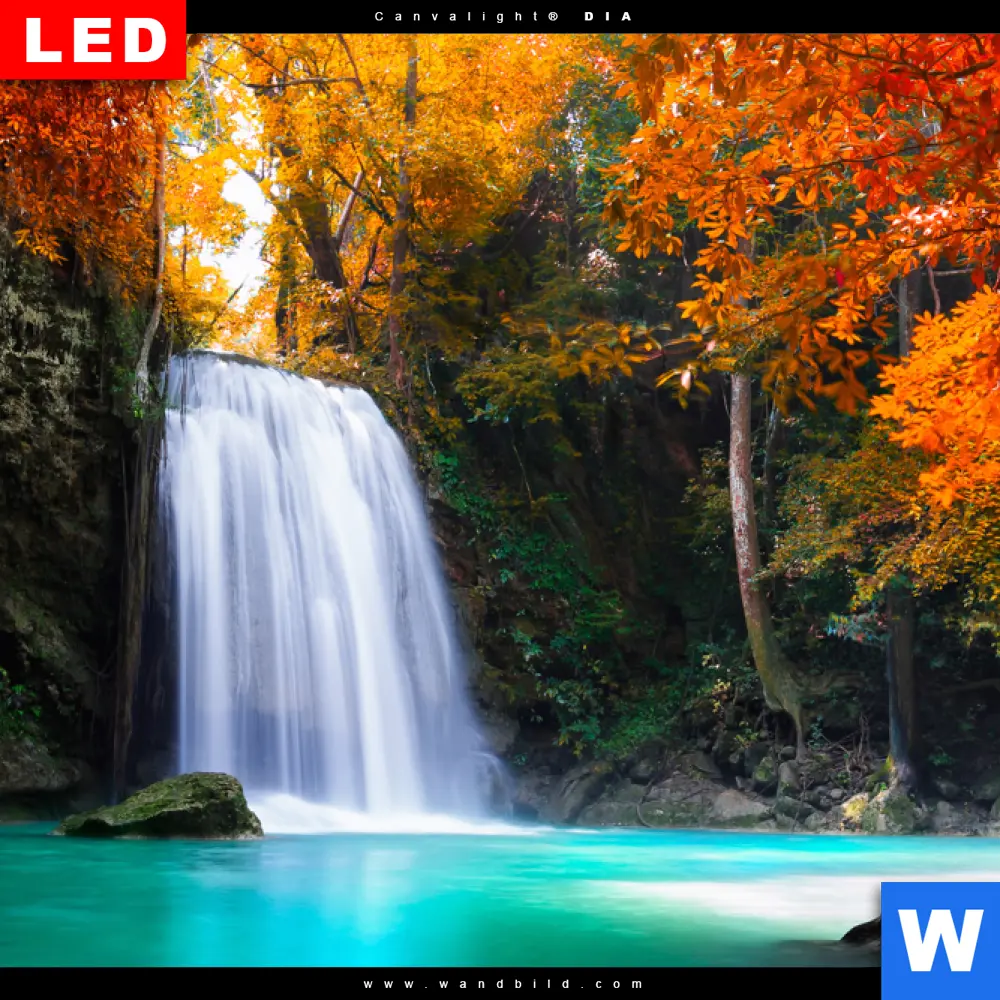 Wechselmotiv Acrylglas Canvalight® DIA | Wasserfall im Wald | Querformat - Image 4