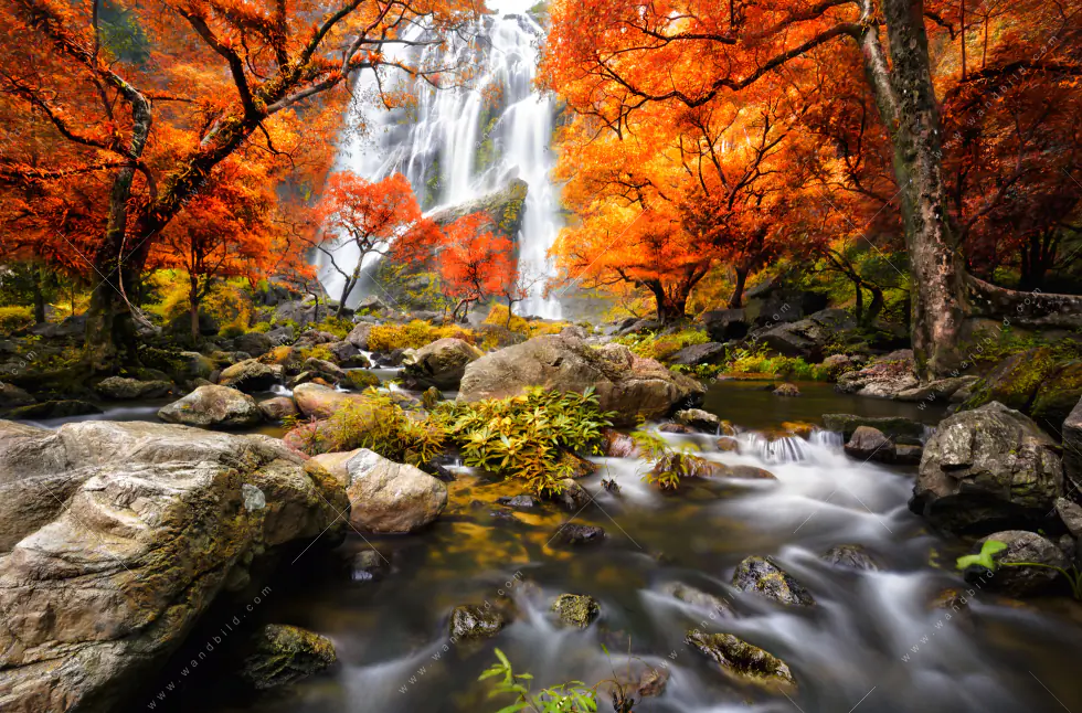 Wechselmotiv Acrylglas Canvalight® DIA | Wasserfall in Herbstlandschaft | Quadrat - Image 5