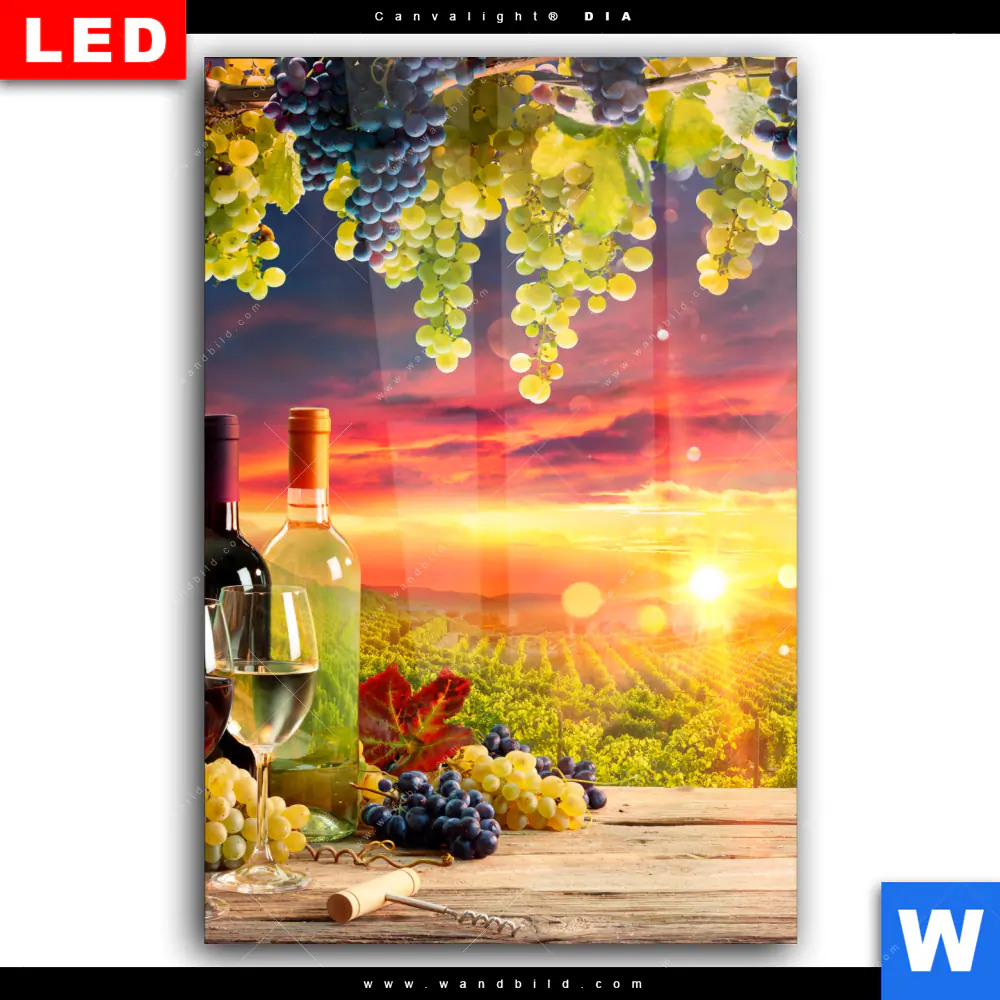Wechselmotiv Acrylglas Canvalight® DIA | Weinreben im Abendlicht | Hochformat - Image 2