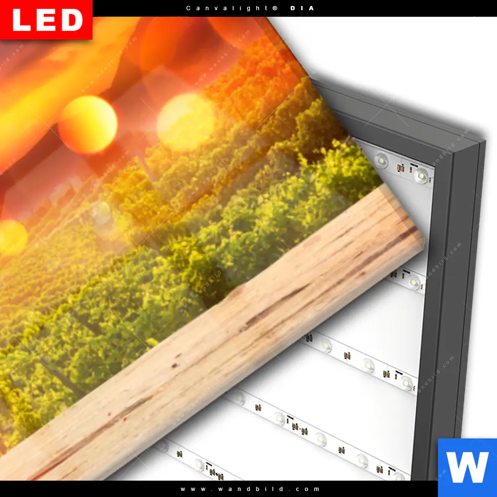 Wechselmotiv Acrylglas Canvalight® DIA | Weinreben im Abendlicht | Panorama - Image 3