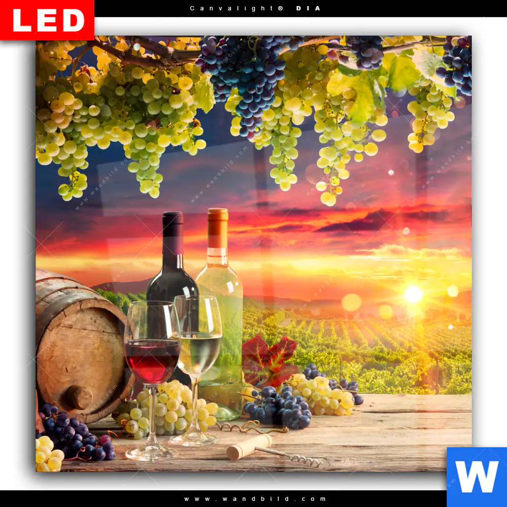 Wechselmotiv Acrylglas Canvalight® DIA | Weinreben im Abendlicht | Quadrat - Image 2