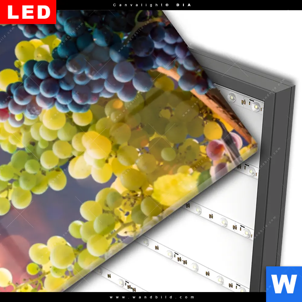 Wechselmotiv Acrylglas Canvalight® DIA | Weinreben im Abendlicht | Schmal - Image 3