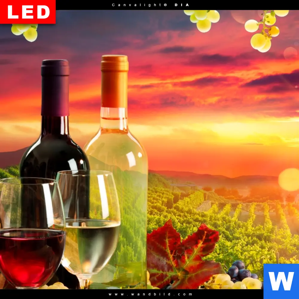 Wechselmotiv Acrylglas Canvalight® DIA | Weinreben im Abendlicht | Schmal - Image 4