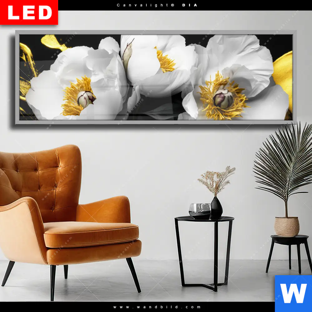 Wechselmotiv Acrylglas Canvalight® DIA | Weiße Blumen mit Gold | Panorama