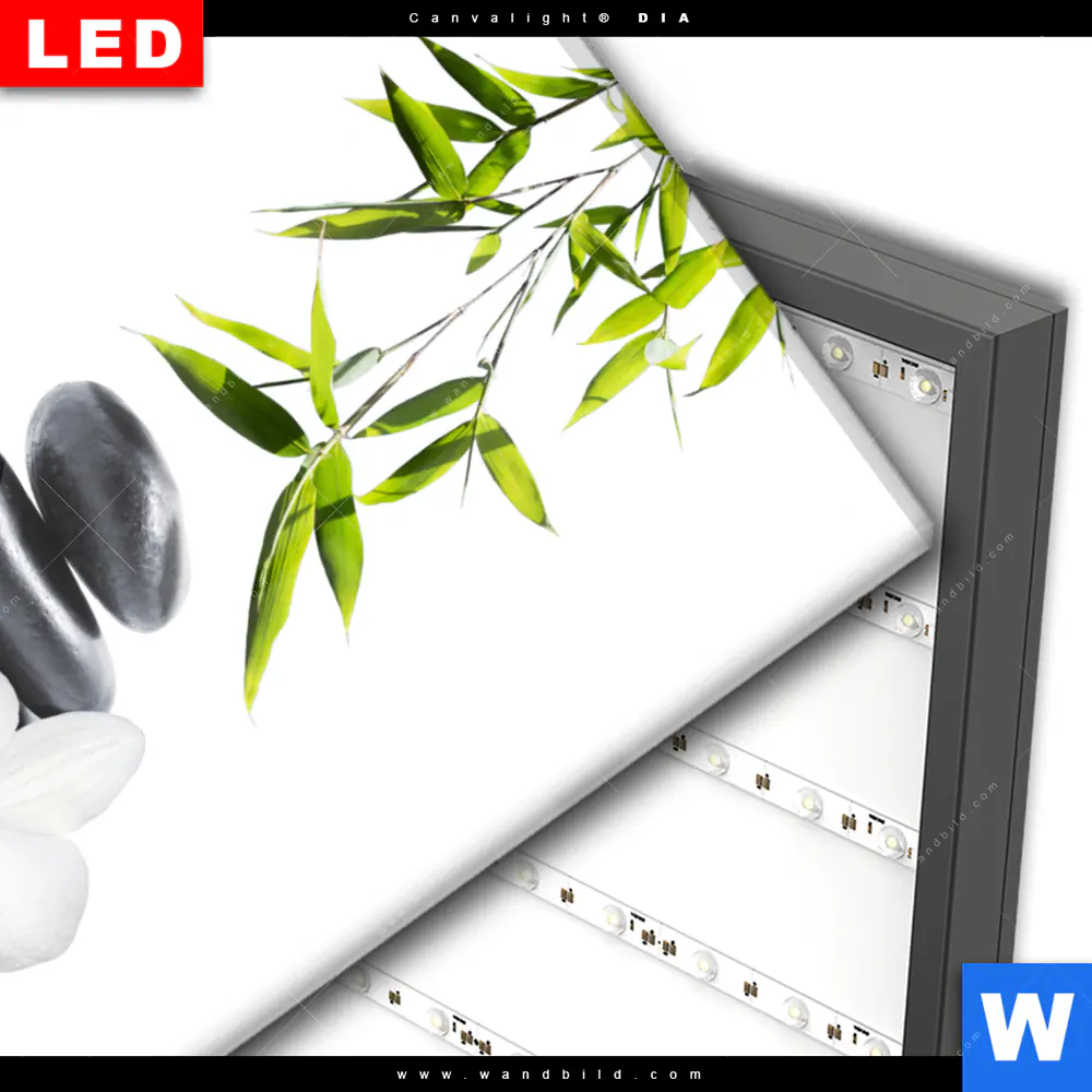 Wechselmotiv Acrylglas Canvalight® DIA | Weiße Orchidee & Zensteine | Hochformat - Image 3