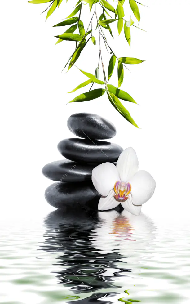 Wechselmotiv Acrylglas Canvalight® DIA | Weiße Orchidee & Zensteine | Hochformat - Image 5