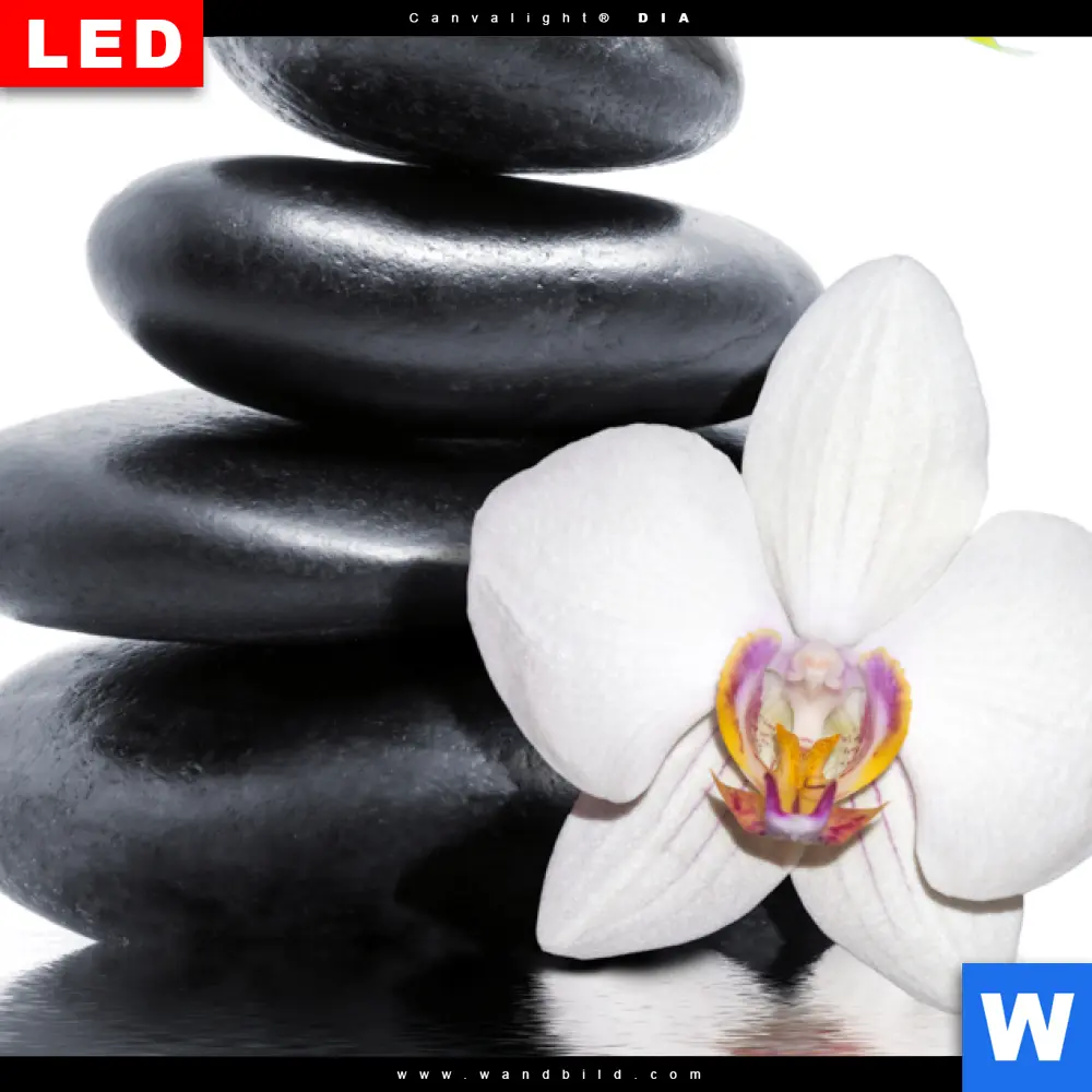Wechselmotiv Acrylglas Canvalight® DIA | Weiße Orchidee & Zensteine | Quadrat - Image 4