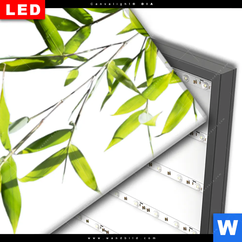 Wechselmotiv Acrylglas Canvalight® DIA | Weiße Orchidee & Zensteine | Schmal - Image 3