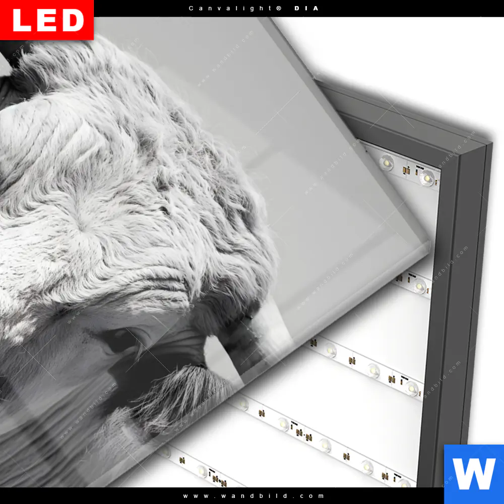 Wechselmotiv Acrylglas Canvalight® DIA | Weisser Bulle | Hochformat - Image 3