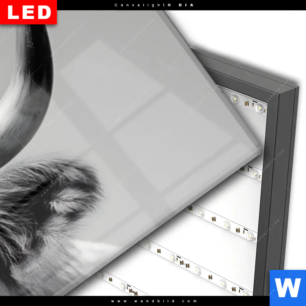 Wechselmotiv Acrylglas Canvalight® DIA | Weisser Bulle | Panorama - Image 3