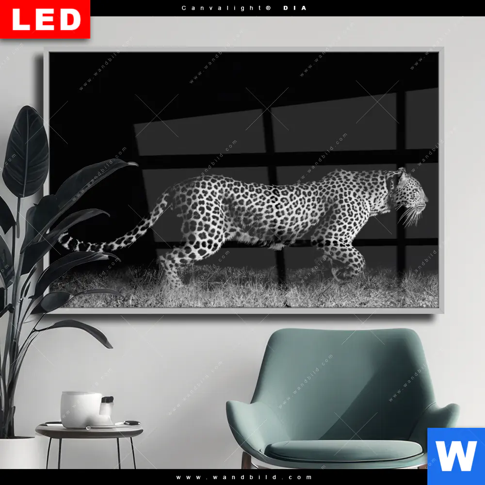 Wechselmotiv Acrylglas Canvalight® DIA | Wilder Leopard | Querformat
