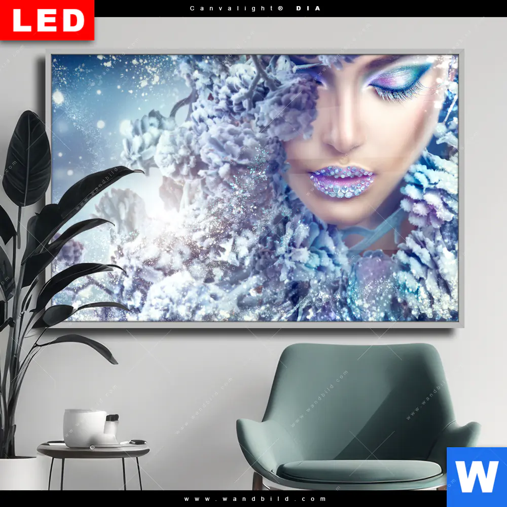 Wechselmotiv Acrylglas Canvalight® DIA | Winter Schönheit | Querformat