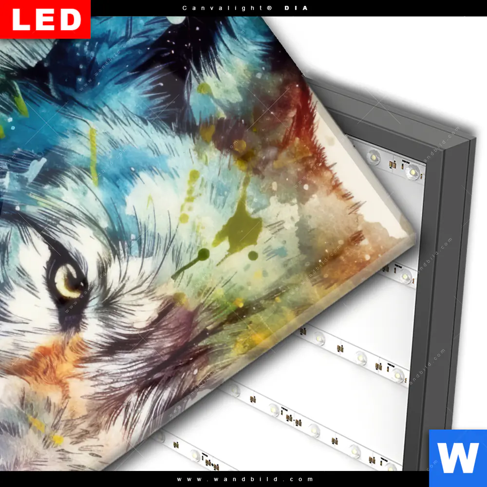 Wechselmotiv Acrylglas Canvalight® DIA | Wolf mit bunten Farbspritzern No. 2 | Hochformat - Image 3